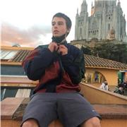 Profesor de apoyo de historia